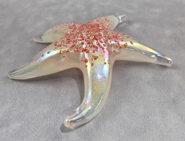 #10192608 Starfish Orange Glows in Dark 6.25'' Iridized $100.00