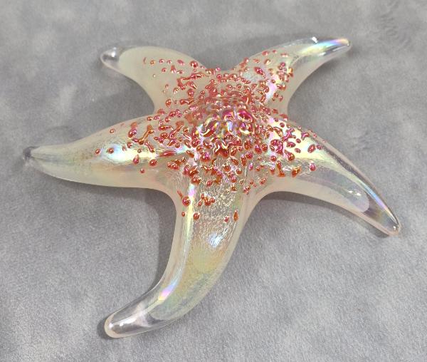 #10192608 Starfish Orange Glows in Dark 6.25'' Iridized $100.00