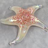 #10192608 Starfish Orange Glows in Dark 6.25'' Iridized $100.00